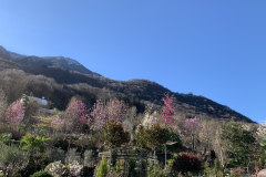 Aktuelles Foto vom 22.03.2019
