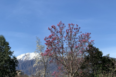 Aktuelles Foto vom 13.03.2021