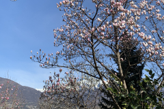 Aktuelles Foto vom 13.03.2021
