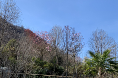 Aktuelles Foto vom 13.03.2021