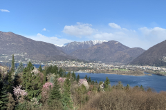 Aktuelles Foto vom 16.03.2021