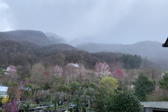 Aktuelles Foto vom 19.03.2021