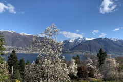 Aktuelles Foto vom 20.03.2021