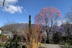 Aktuelles Foto vom 20.03.2021