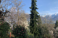 Aktuelles Foto vom 28.03.2021