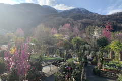 Aktuelles Foto vom 28.03.2021