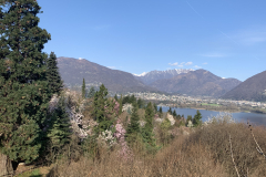 Aktuelles Foto vom 28.03.2021
