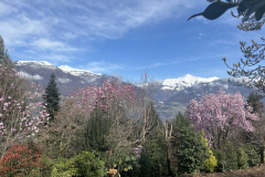 Aktuelles Foto vom 04.03.2024