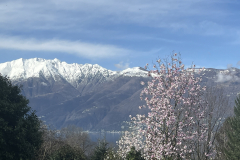 Aktuelles Foto vom 04.03.2024