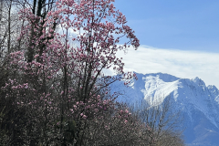 Aktuelles Foto vom 11.03.2024