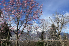 Aktuelles Foto vom 11.03.2024