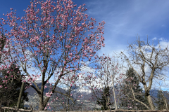 Aktuelles Foto vom 11.03.2024