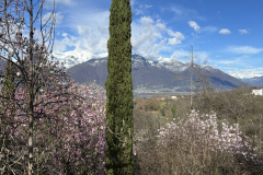 Aktuelles Foto vom 11.03.2024