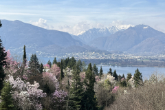 Aktuelles Foto vom 15.03.2024