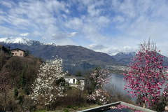 Aktuelles Foto vom 18.03.2024