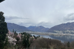 Aktuelles Foto vom 18.03.2024