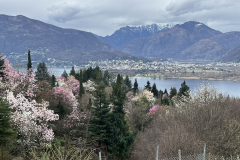 Aktuelles Foto vom 18.03.2024