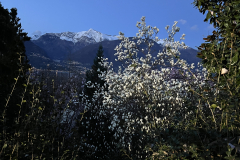 Aktuelles Foto vom 18.03.2024