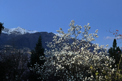 Aktuelles Foto vom 18.03.2024