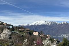 Aktuelles Foto vom 19.03.2024