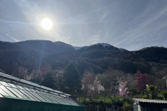Aktuelles Foto vom 19.03.2024