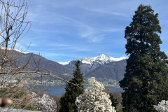 Aktuelles Foto vom 19.03.2024