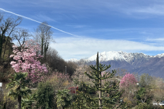 Aktuelles Foto vom 19.03.2024