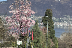 Aktuelles Foto vom 19.03.2024