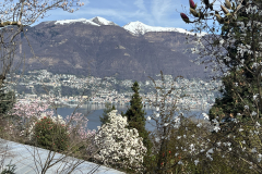 Aktuelles Foto vom 19.03.2024