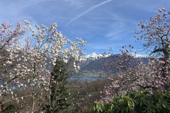 Aktuelles Foto vom 19.03.2024
