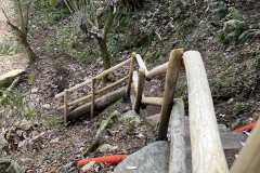 Aktuelles Foto vom 19.03.2024