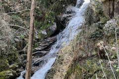 Aktuelles Foto vom 19.03.2024