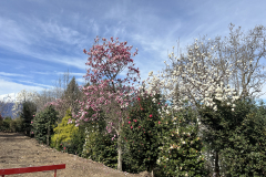 Aktuelles Foto vom 19.03.2024