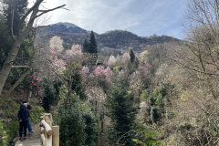 Aktuelles Foto vom 19.03.2024