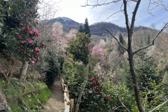 Aktuelles Foto vom 19.03.2024