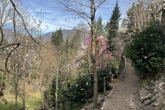 Aktuelles Foto vom 19.03.2024