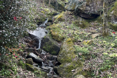 Aktuelles Foto vom 19.03.2024