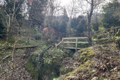 Aktuelles Foto vom 19.03.2024