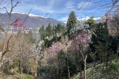 Aktuelles Foto vom 19.03.2024