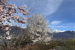 Aktuelles Foto vom 19.03.2024