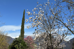 Aktuelles Foto vom 02.04.2024
