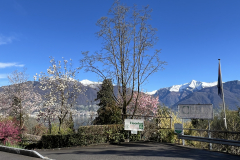 Aktuelles Foto vom 02.04.2024