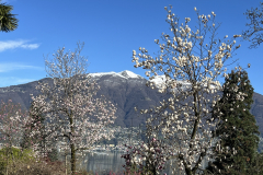 Aktuelles Foto vom 02.04.2024
