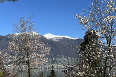 Aktuelles Foto vom 02.04.2024