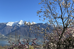 Aktuelles Foto vom 02.04.2024