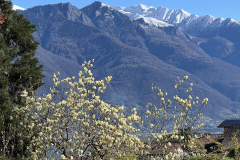 Aktuelles Foto vom 02.04.2024
