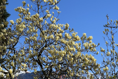 Aktuelles Foto vom 02.04.2024