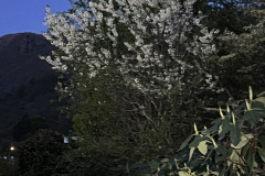 Aktuelles Foto vom 16.04.2024