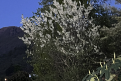 Aktuelles Foto vom 16.04.2024