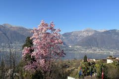Aktuelles Foto vom 23.03.2022